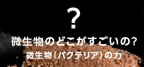微生物の力　微生物のどこがすごいの？