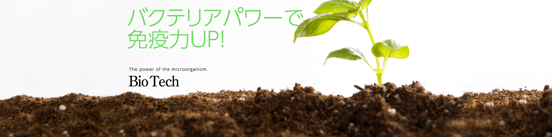 バクテリアパワーで活力を！ バイオテック Bio Tech