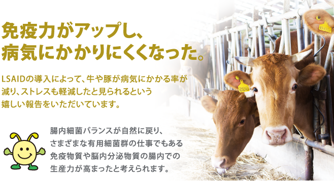 免疫力がアップし、 病気にかかりにくくなった。