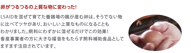 卵がつるつるの上質な物に変わった！